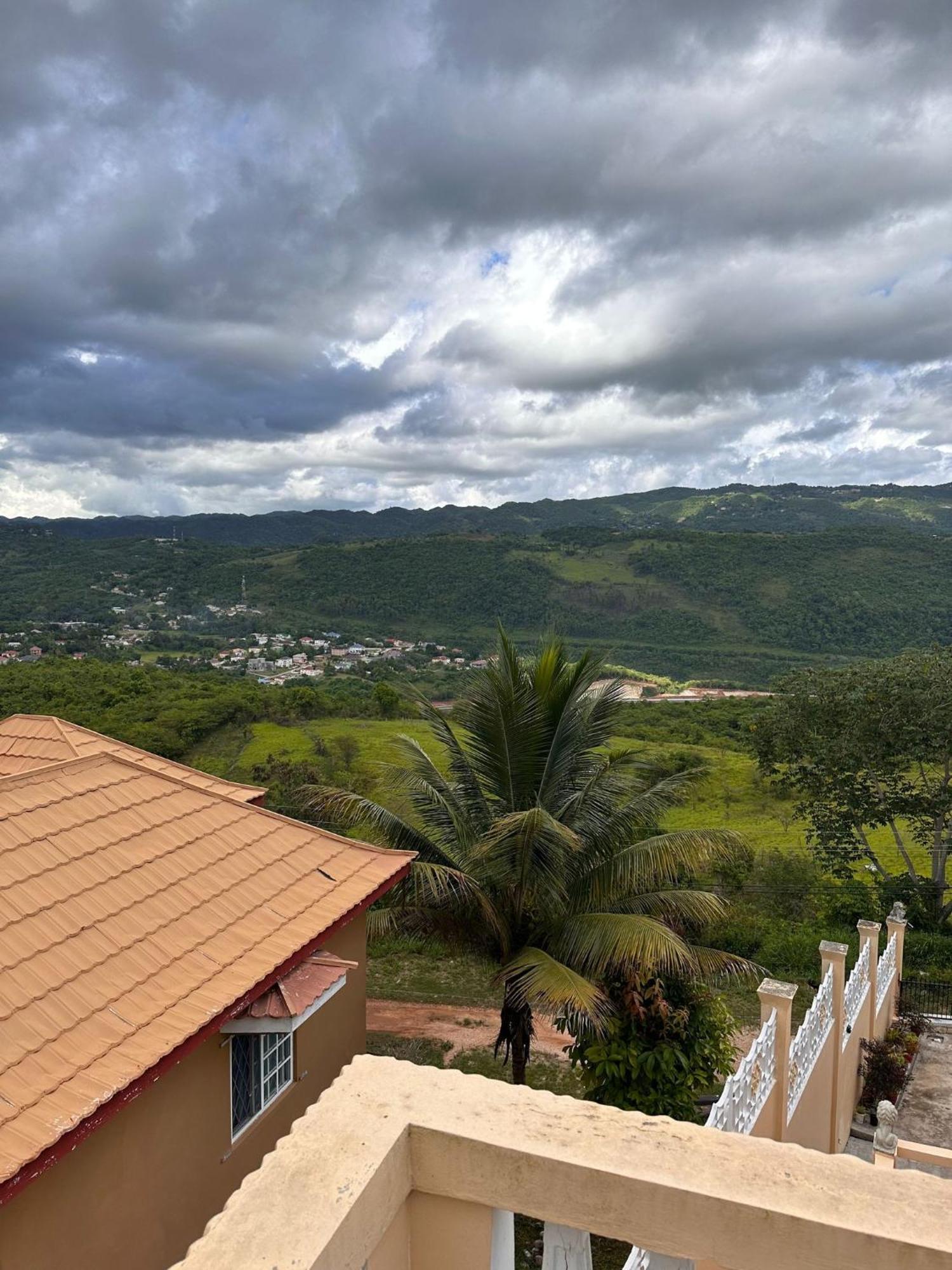 Lion'S View Bed & Breakfast Mandeville Kültér fotó