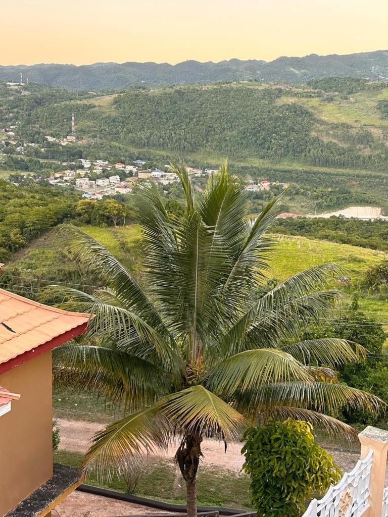 Lion'S View Bed & Breakfast Mandeville Kültér fotó