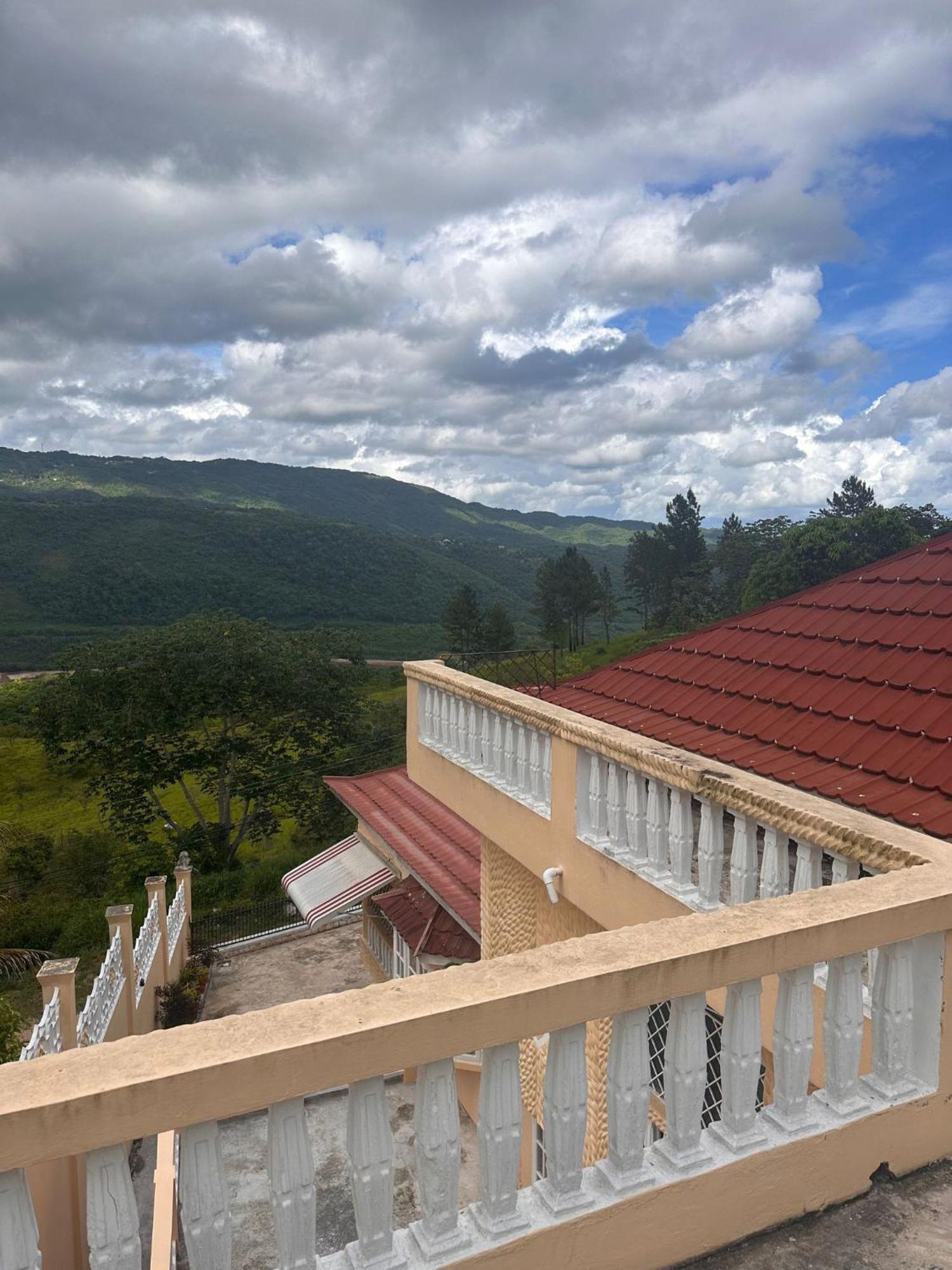 Lion'S View Bed & Breakfast Mandeville Kültér fotó